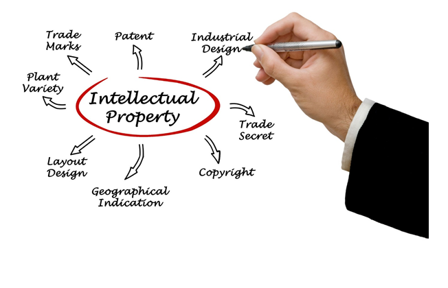 Intellectual Property Diagram